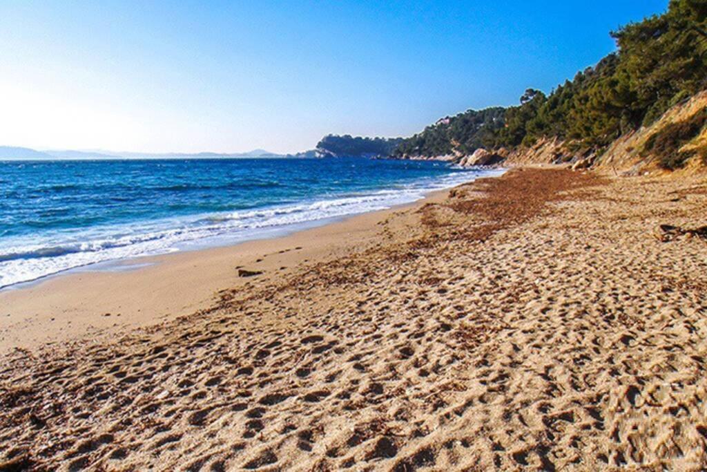 Superbe T2 Lumineux 3*** 10 Mn A Pied De La Plage Apartman Le Pradet Kültér fotó